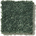 Shaw Floors - Carpet - Full Court 12' - Going Green