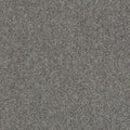 Shaw Floors - Carpet - Full Court 12' - Ink Spot