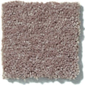 Shaw Floors - Carpet - Full Court 12' - Hearth Stone