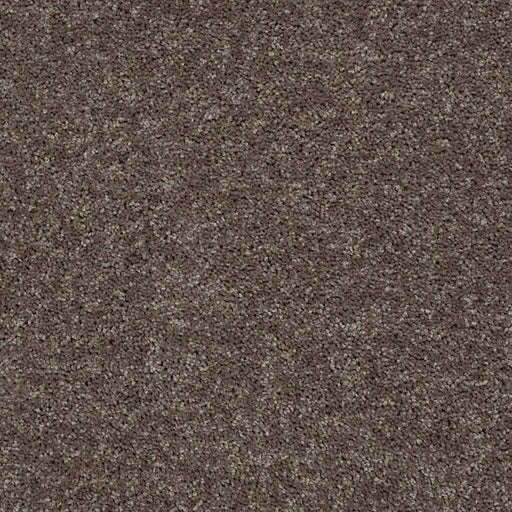 Shaw Floors - Carpet - Full Court 12' - Driftwood