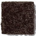 Shaw Floors - Carpet - Full Court 12' - Coffee Bean