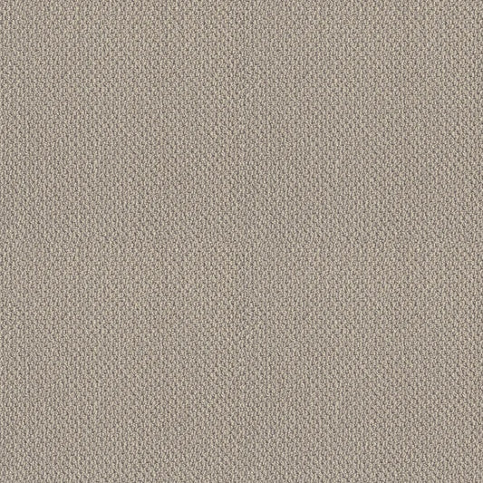 Shaw Floors - Carpet- Foundations Collection - Smart Thinking - Mindful