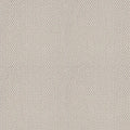 Shaw Floors - Carpet- Foundations Collection - Naturalistic - Winters Dawn