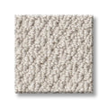Shaw Floors - Carpet- Foundations Collection - Naturalistic - Winters Dawn