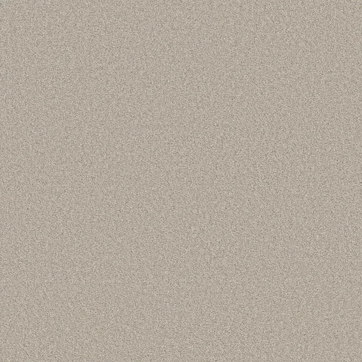 Shaw Floors - Carpet- Foundations Collection - HARMONIOUS III - Split Sediment