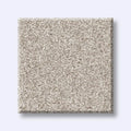 Shaw Floors - Carpet- Foundations Collection - HARMONIOUS III - Split Sediment