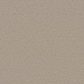 Shaw Floors - Carpet- Foundations Collection - HARMONIOUS III - Fossil Path