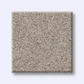 Shaw Floors - Carpet- Foundations Collection - HARMONIOUS III - Fossil Path
