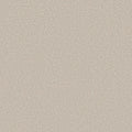 Shaw Floors - Carpet- Foundations Collection - HARMONIOUS III - Gallery Opening