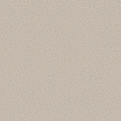 Shaw Floors - Carpet- Foundations Collection - HARMONIOUS III - Gallery Opening