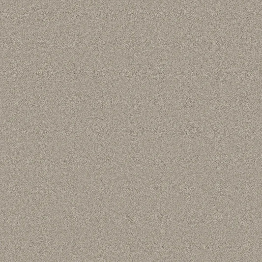Shaw Floors - Carpet- Foundations Collection - HARMONIOUS III - Baltic Stone