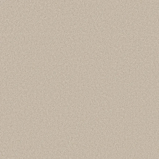 Shaw Floors - Carpet- Foundations Collection - HARMONIOUS III - Champagne Toast