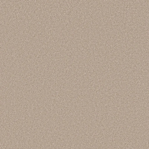 Shaw Floors - Carpet- Foundations Collection - HARMONIOUS III - Heirloom