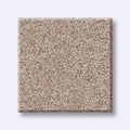 Shaw Floors - Carpet- Foundations Collection - HARMONIOUS III - Heirloom