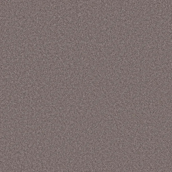 Shaw Floors - Carpet- Foundations Collection - HARMONIOUS III - Deep Connection