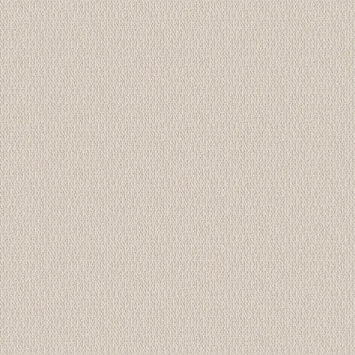 SHAW FLOORS - CARPET - SIMPLY THE BEST - LOOP DE LOOP - CANVAS