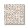 SHAW FLOORS - CARPET - SIMPLY THE BEST - LOOP DE LOOP - CANVAS