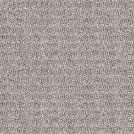 SHAW FLOORS - CARPET - SIMPLY THE BEST - LOOP DE LOOP - WARM GREIGE