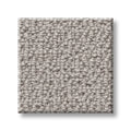 SHAW FLOORS - CARPET - SIMPLY THE BEST - LOOP DE LOOP - WARM GREIGE