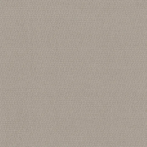SHAW FLOORS - CARPET - SIMPLY THE BEST - LOOP DE LOOP - SANDSTONE