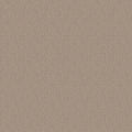 SHAW FLOORS - CARPET - SIMPLY THE BEST - LOOP DE LOOP - PEBBLE PATH