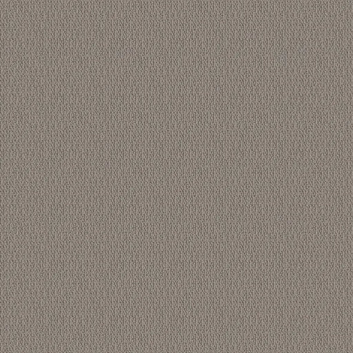 SHAW FLOORS - CARPET - SIMPLY THE BEST - LOOP DE LOOP - INDUSTRIAL