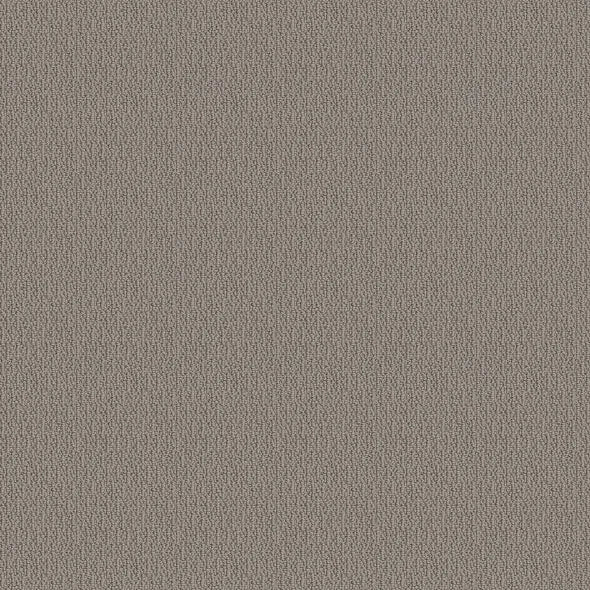 SHAW FLOORS - CARPET - SIMPLY THE BEST - LOOP DE LOOP - INDUSTRIAL