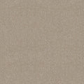 SHAW FLOORS - CARPET - SIMPLY THE BEST VALUES COLLECTION - TRUSPLENDOR - 12' - MIST