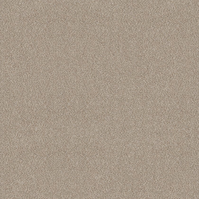 SHAW FLOORS - CARPET - SIMPLY THE BEST VALUES COLLECTION - TRUSPLENDOR - 12' - MIST