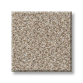 SHAW FLOORS - CARPET - SIMPLY THE BEST VALUES COLLECTION - TRUSPLENDOR - 12' - MIST