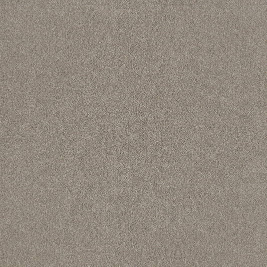 SHAW FLOORS - CARPET - SIMPLY THE BEST VALUES COLLECTION - TRUSPLENDOR - 12' - LADY LIBERTY