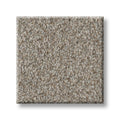 SHAW FLOORS - CARPET - SIMPLY THE BEST VALUES COLLECTION - TRUSPLENDOR - 12' - LADY LIBERTY