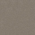 SHAW FLOORS - CARPET - SIMPLY THE BEST VALUES COLLECTION - TRUSPLENDOR - 12' - IRON WORKS