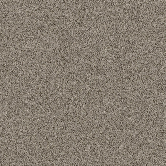 SHAW FLOORS - CARPET - SIMPLY THE BEST VALUES COLLECTION - TRUSPLENDOR - 12' - IRON WORKS