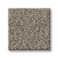 SHAW FLOORS - CARPET - SIMPLY THE BEST VALUES COLLECTION - TRUSPLENDOR - 12' - IRON WORKS