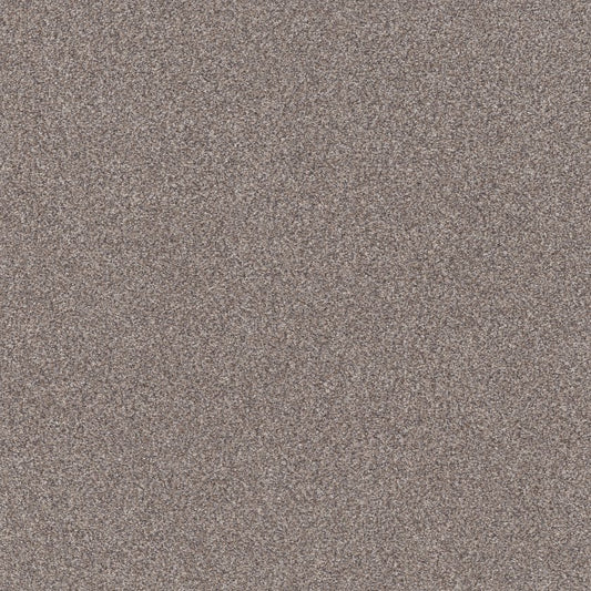 SHAW FLOORS - CARPET - SIMPLY THE BEST VALUES COLLECTION - TRUSPLENDOR - 12' - STAINLESS