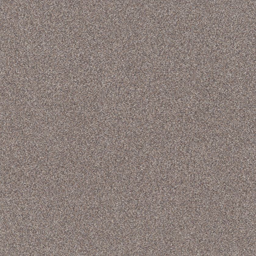 SHAW FLOORS - CARPET - SIMPLY THE BEST VALUES COLLECTION - TRUSPLENDOR - 12' - STAINLESS