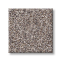 SHAW FLOORS - CARPET - SIMPLY THE BEST VALUES COLLECTION - TRUSPLENDOR - 12' - STAINLESS