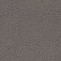 SHAW FLOORS - CARPET - SIMPLY THE BEST VALUES COLLECTION - TRUSPLENDOR - 12' - QUARRY