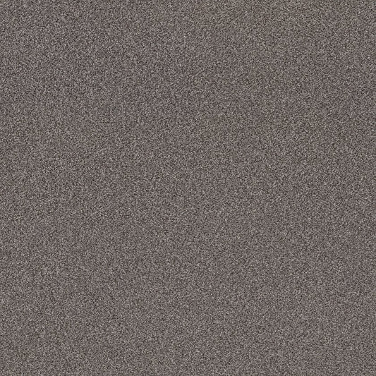 SHAW FLOORS - CARPET - SIMPLY THE BEST VALUES COLLECTION - TRUSPLENDOR - 12' - QUARRY