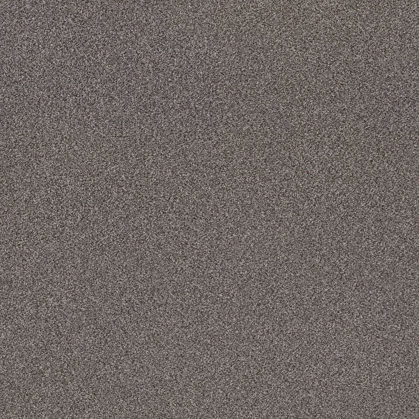 SHAW FLOORS - CARPET - SIMPLY THE BEST VALUES COLLECTION - TRUSPLENDOR - 12' - QUARRY