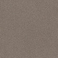 SHAW FLOORS - CARPET - SIMPLY THE BEST VALUES COLLECTION - TRUSPLENDOR - 12' - COBBLE DRIVE