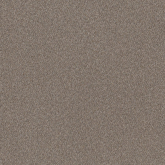 SHAW FLOORS - CARPET - SIMPLY THE BEST VALUES COLLECTION - TRUSPLENDOR - 12' - COBBLE DRIVE