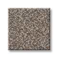 SHAW FLOORS - CARPET - SIMPLY THE BEST VALUES COLLECTION - TRUSPLENDOR - 12' - COBBLE DRIVE