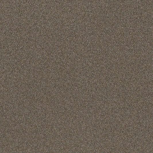 SHAW FLOORS - CARPET - SIMPLY THE BEST VALUES COLLECTION - TRUSPLENDOR - 12' - CITY SCAPE