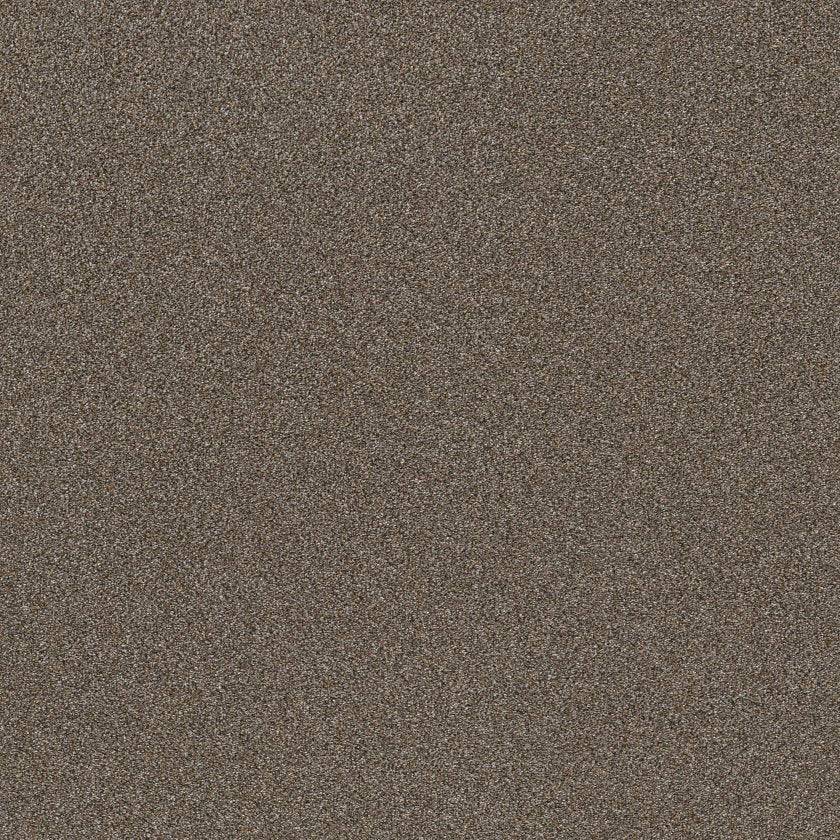 SHAW FLOORS - CARPET - SIMPLY THE BEST VALUES COLLECTION - TRUSPLENDOR - 12' - CITY SCAPE