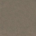 SHAW FLOORS - CARPET - SIMPLY THE BEST VALUES COLLECTION - TRUSPLENDOR - 12' - TRUFFLE