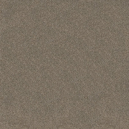SHAW FLOORS - CARPET - SIMPLY THE BEST VALUES COLLECTION - TRUSPLENDOR - 12' - TRUFFLE