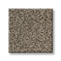 SHAW FLOORS - CARPET - SIMPLY THE BEST VALUES COLLECTION - TRUSPLENDOR - 12' - TRUFFLE