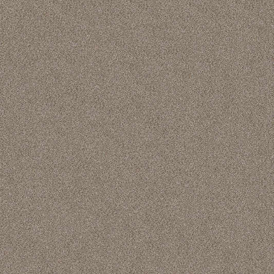 SHAW FLOORS - CARPET - SIMPLY THE BEST VALUES COLLECTION - TRUSPLENDOR - 12' - TIMELESS TAN